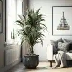 6-plantes-dinterieur-pour-une-chambre-apaisante-et-oxygenee-decouvrez-comment-ameliorer-votre-bien-etre-grace-aux-plantes