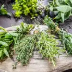 les-bienfaits-des-plantes-aromatiques-en-cuisine-conseils-et-recettes-pour-sublimer-vos-plats