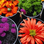 sdxl-10e927526dd04bf971d039df3ef5ce04