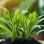Plantes et Prostate : Des Alliés Naturels sdxl-283ad62f884a9390590596e53360e174