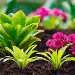 Plantes pour Terre Acide sdxl-6479944a69215544bec95677421c0a25