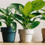 Stickers Trompe l'Œil Plante : Une Touche de Nature dans Votre Intérieur sdxl-8fda0ff8d4aa0376546a1b44da56e5d7