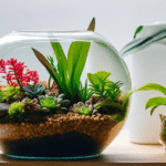 Comment Entretenir un Terrarium de Plantes sdxl-a81f874543239f6c2869749ad9f2d1f5