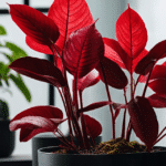 Plantes d'intérieur à feuilles rouges : Un éclat de couleur pour votre maison sdxl-f8015fcf7aa21e8163deda74b674cc0e