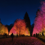 Dimanche 5 janvier : Ne manquez pas le dernier jour des magnifiques illuminations au Jardin public de Fougères sdxl-908a430f9ef3318757c0374450e4dd36
