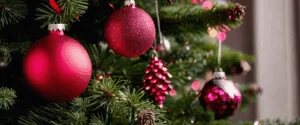 Jardin : Que faire de votre sapin de Noël après les fêtes ? Des idées durables pour une seconde vie !