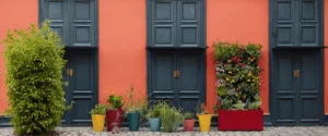 Supports muraux pour plantes d’extérieur : optimisez vos murs et embellissez vos espaces