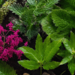 Explorer les Secrets des Plantes Sauvages Comestibles : Guides, Conseils et Recettes Incontournables sdxl-d25c0206d4ebe74360e39d67ac30c15b