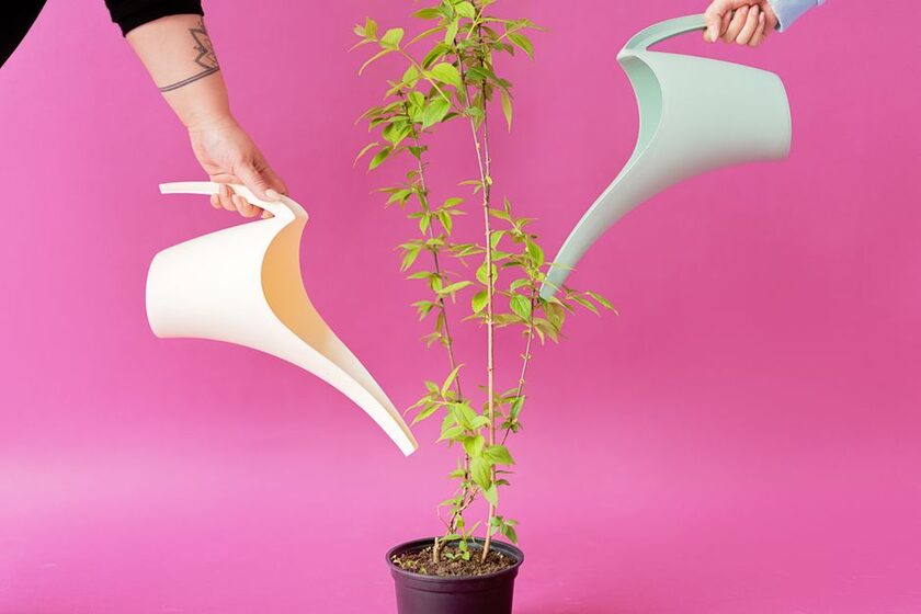 Lot de 4 cônes d'argile pour plantes d'intérieur COM-FOUR