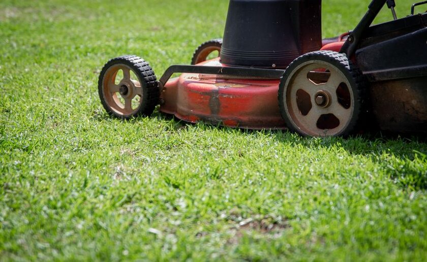 Engrais gazon d'automne riche en potassium, 10 kg, 500 m² Turbogrün