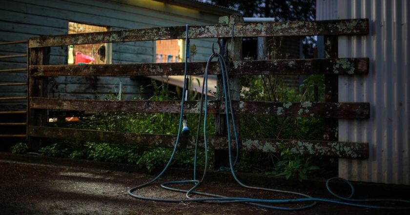 Dévidoir Classic 50, compact, raccord anti-goutte Gardena